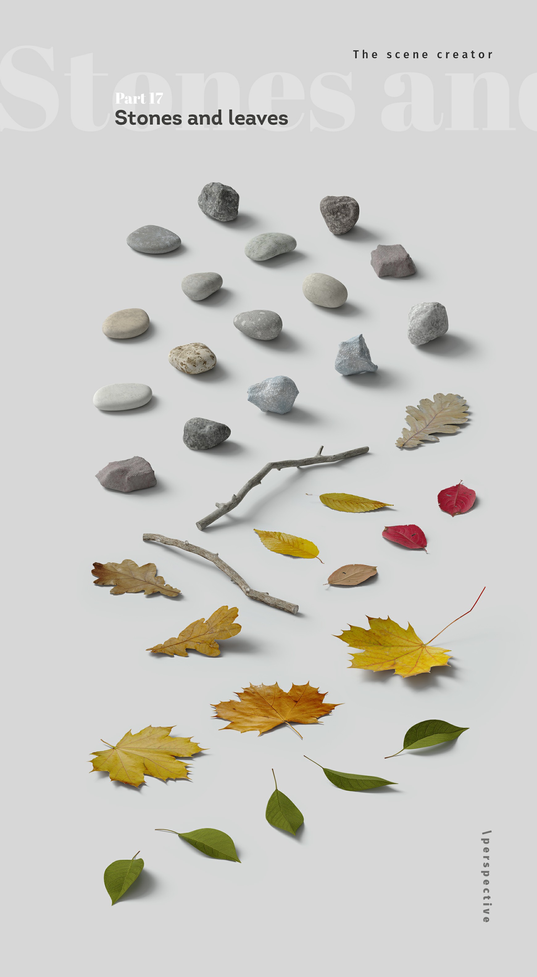 [17] Stones and leafs.jpg